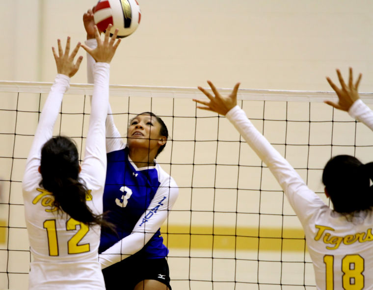 Cove VB sweeps Stony Point